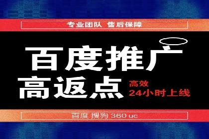 解析SEM竞价代运营的成功要素及案例